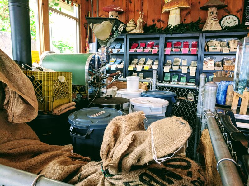 Green Salmon Coffee Company