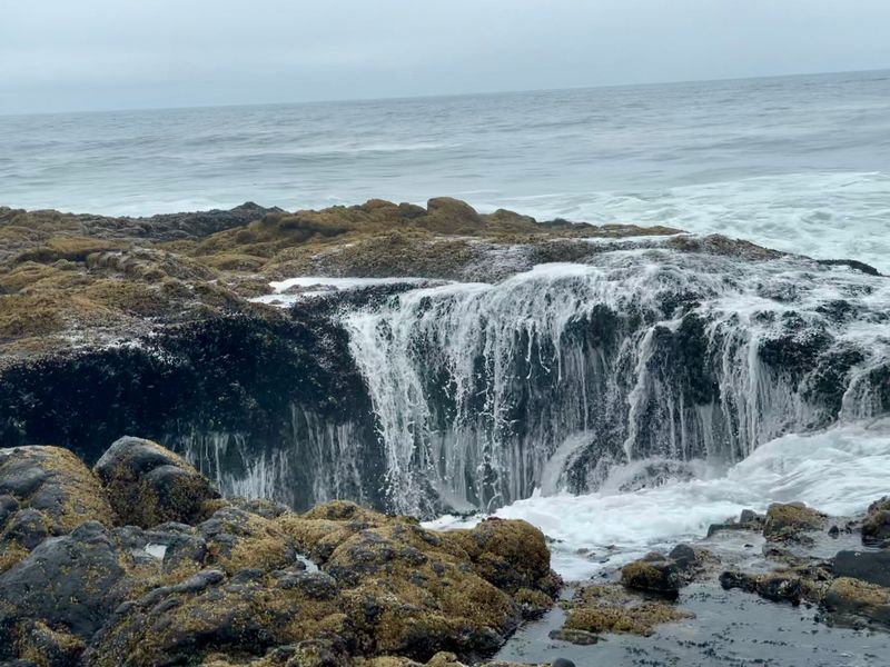 Cape Perpetua Scenic Area - Cook's Chasm and Thor's Well