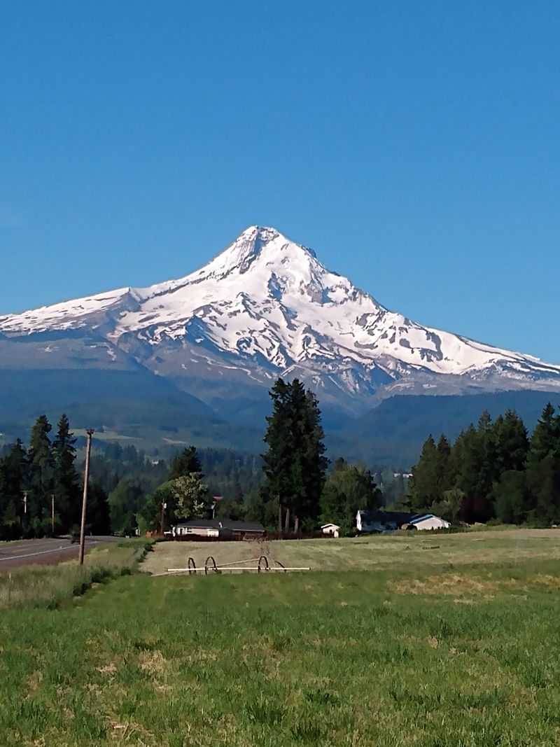 Microclimate Creating Distinct Seasons