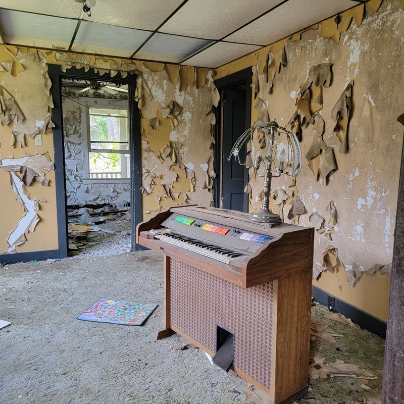 Yellow Dog Village, The Modern Time Capsule