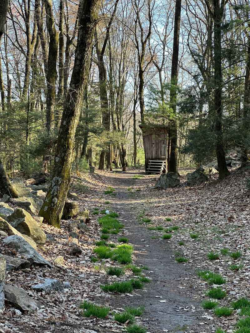 Rausch Gap, A Mountain Railway Hub's Demise