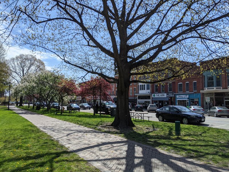 Oberlin: Progressive Thought Meets Practical Success