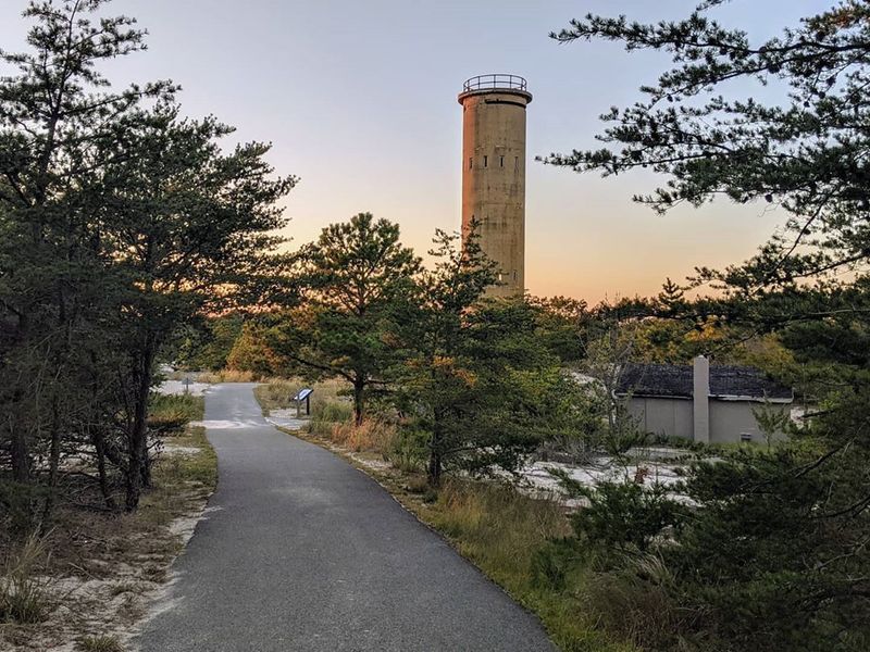 Cape Henlopen State Park