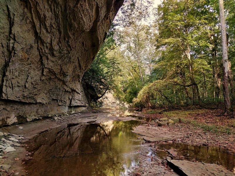 Shades State Park Pine Hills
