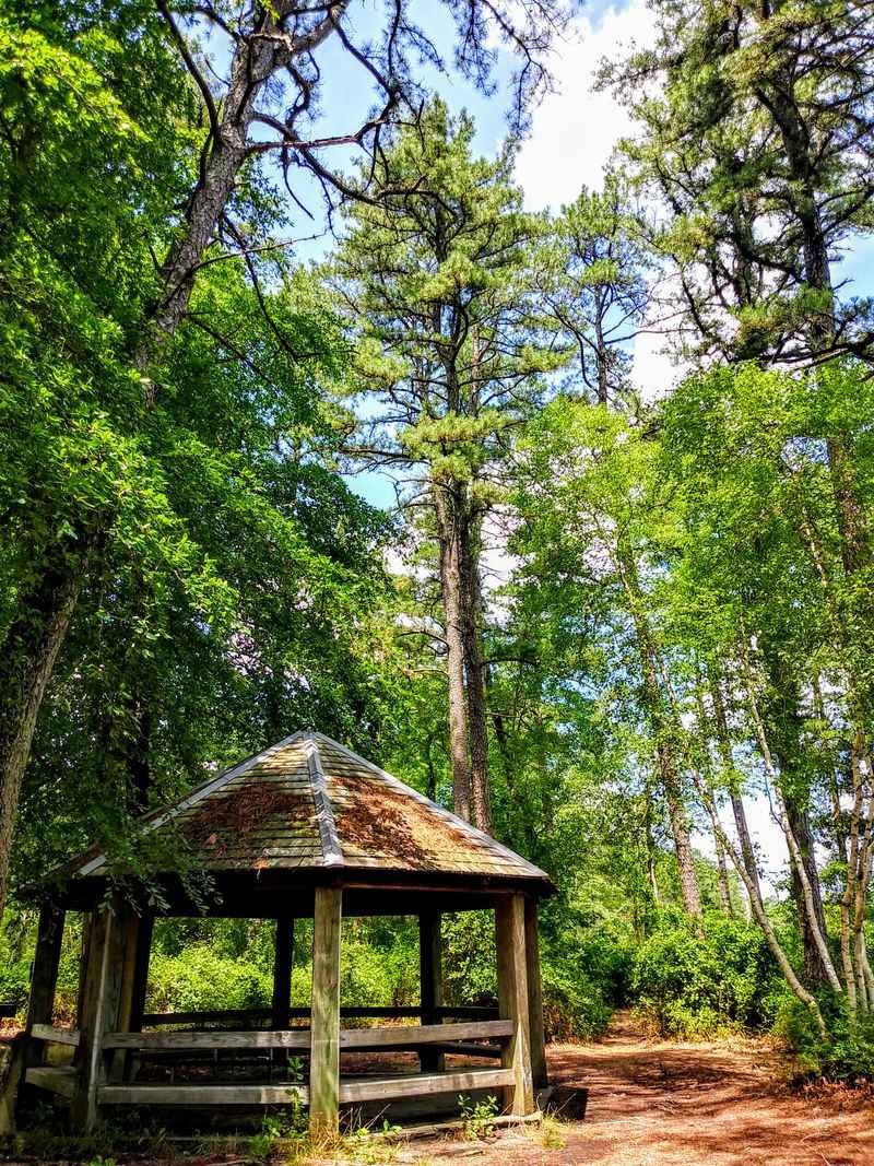 Brendan T. Byrne State Forest