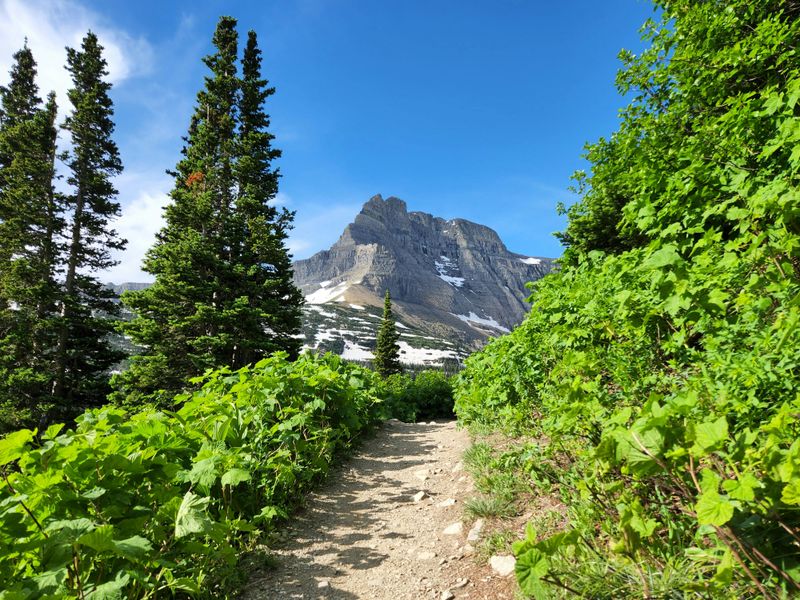 Straying Off Marked Trails