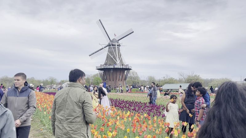 Tulip Time Festival