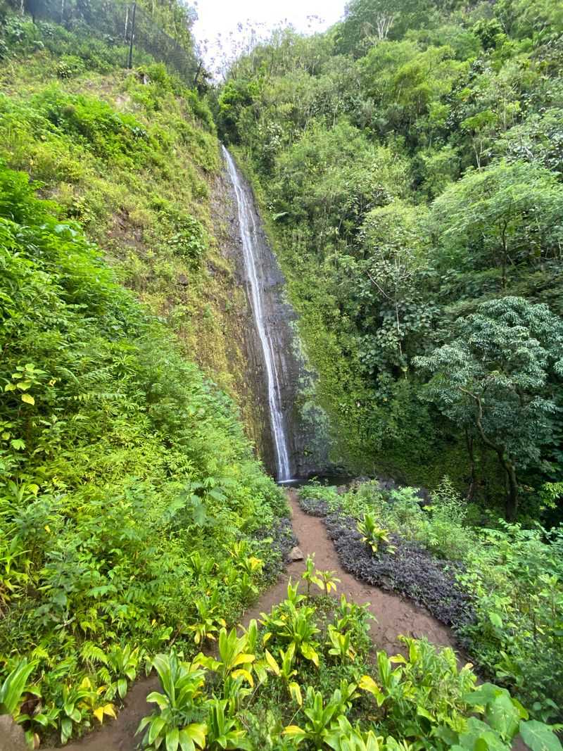 Manoa Falls, Oahu