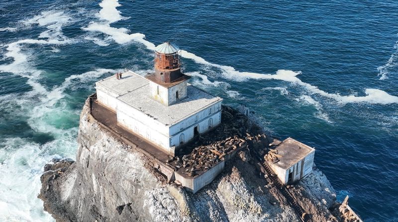 Tillamook Lighthouse: The Columbarium With a TV Deal