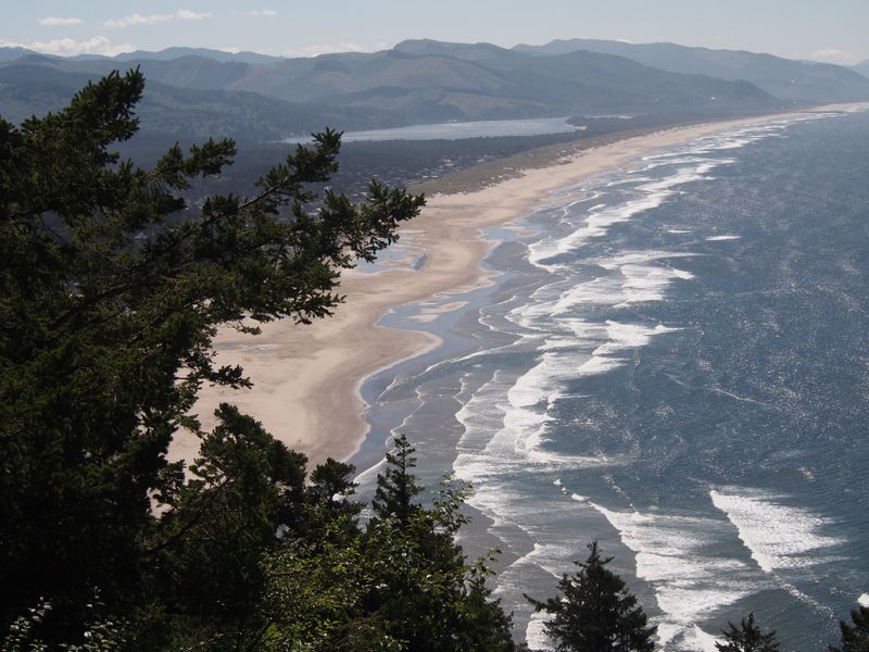 Manzanita: The Coastal Village That Values Quiet Over Commerce