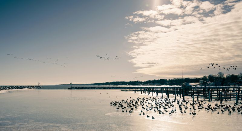 Respect Lake-Effect Snow Bursts