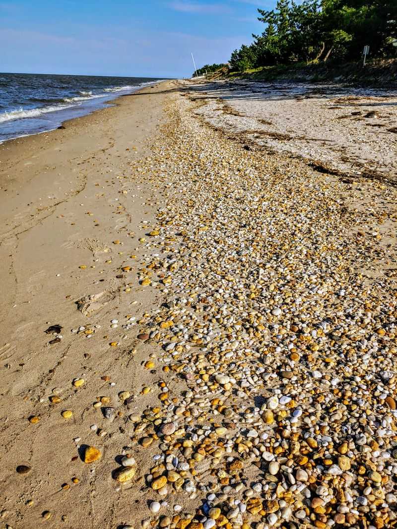 Why The Bay Keeps Things Calm