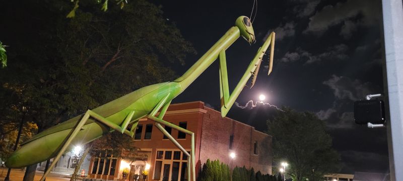 Frequently Dressed in Seasonal and Festive Outfits