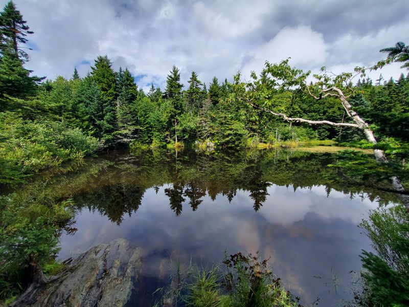 Wildlife Watching That Turns Every Hike Into a Safari