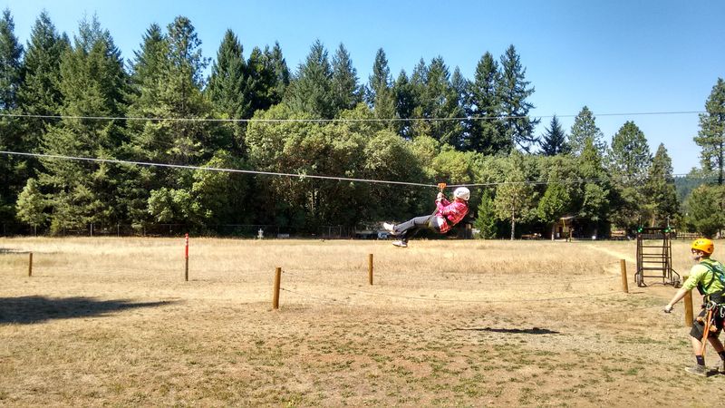 Thrilling Zipline Adventures Through the Forest Canopy