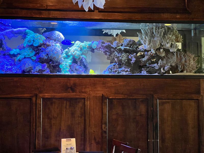 A Menu That Celebrates Georgia’s Seafood Roots