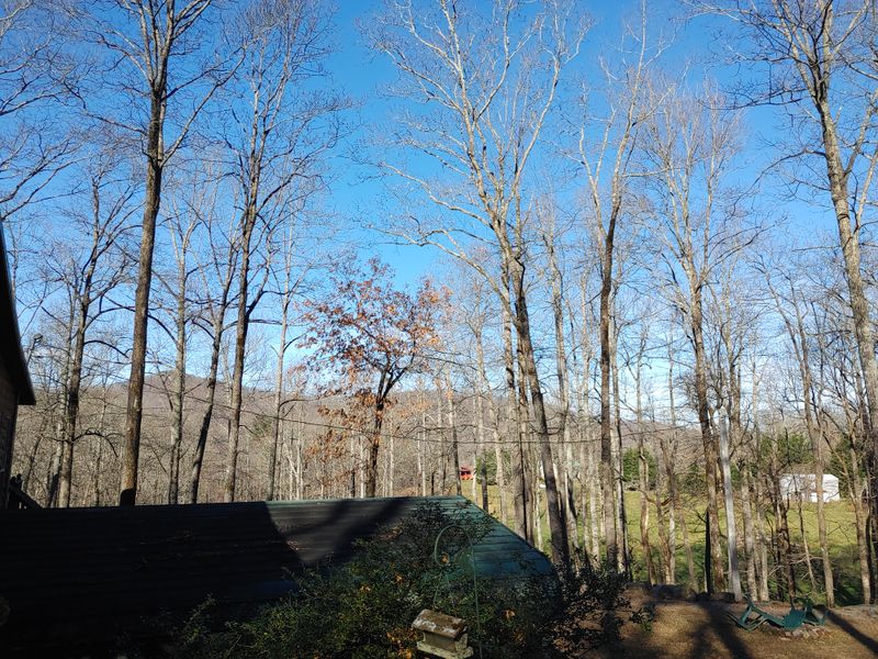 Mistaken For Just Cabins And Nothing Else