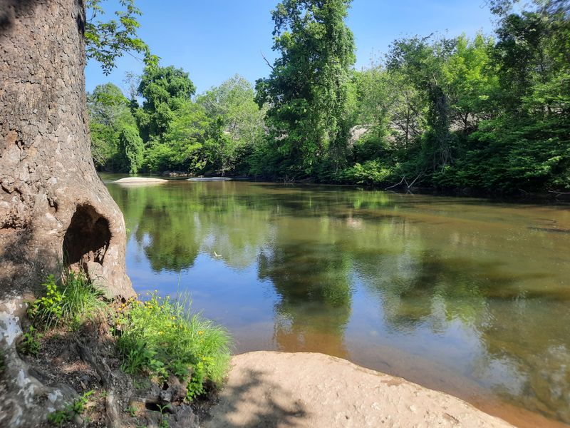 The Toe River Sets The Pace