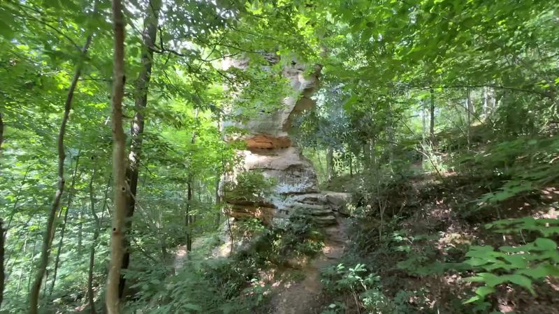 An Incredibly Easy Adventure for All Ages