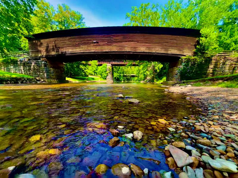 Creek Life and Cool-Down Central