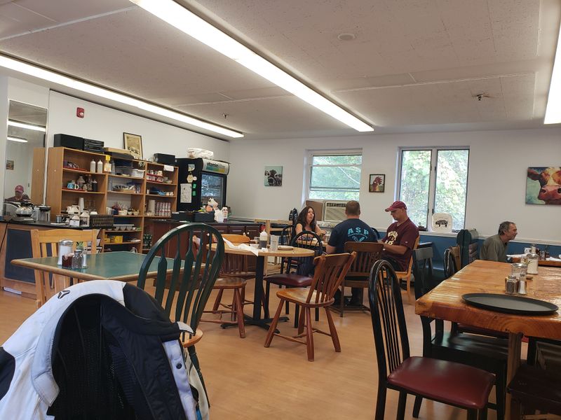 A Hidden Forest Spot Worth The Drive