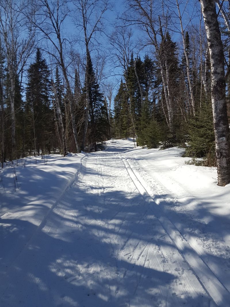 A Village That Embraces Winter