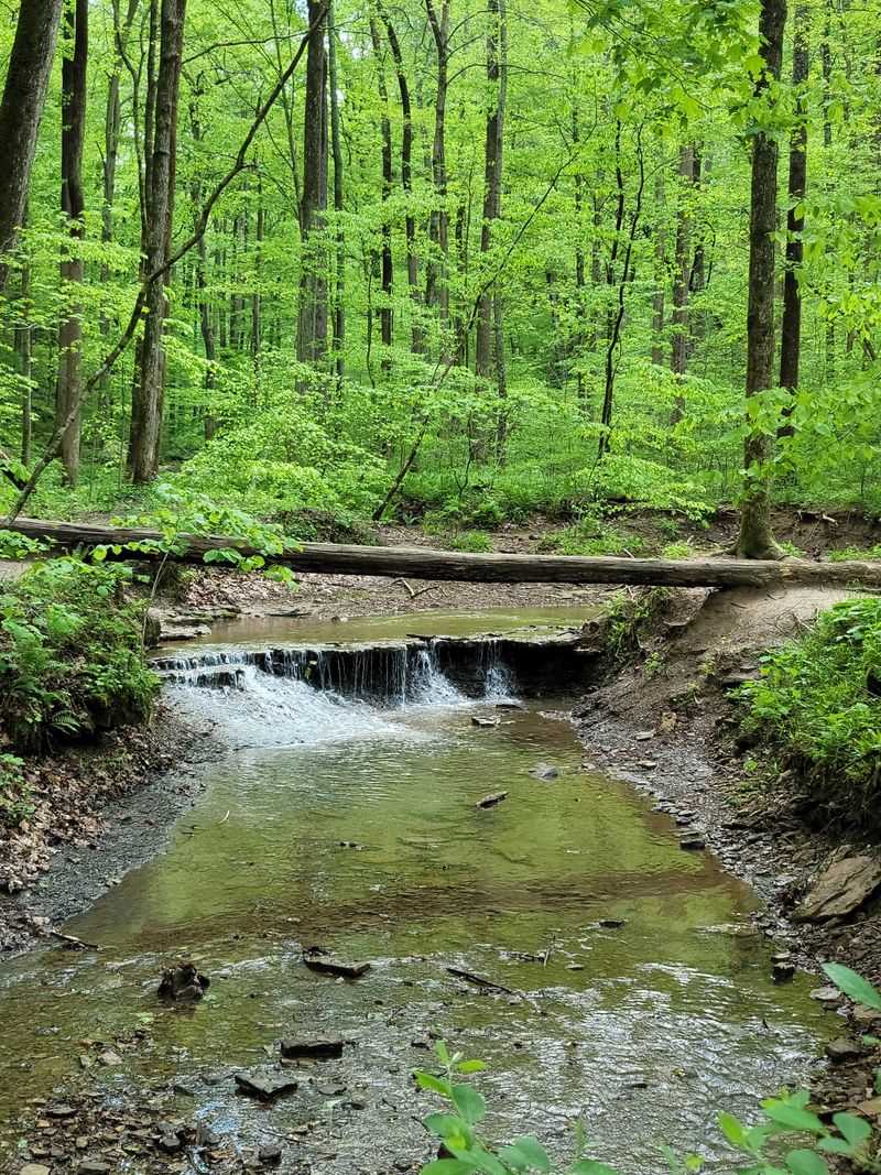 Remote Location Off the Beaten Path