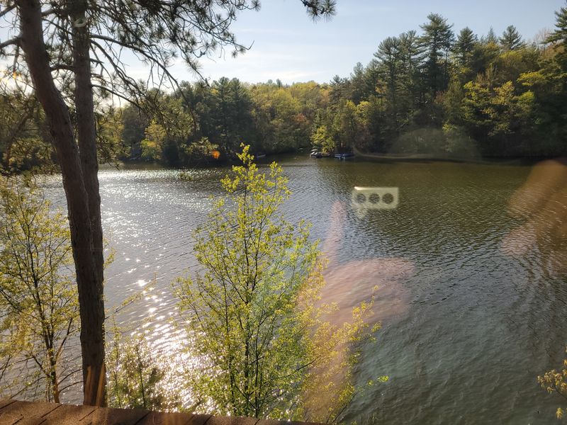 Nature Growing Through The Roof