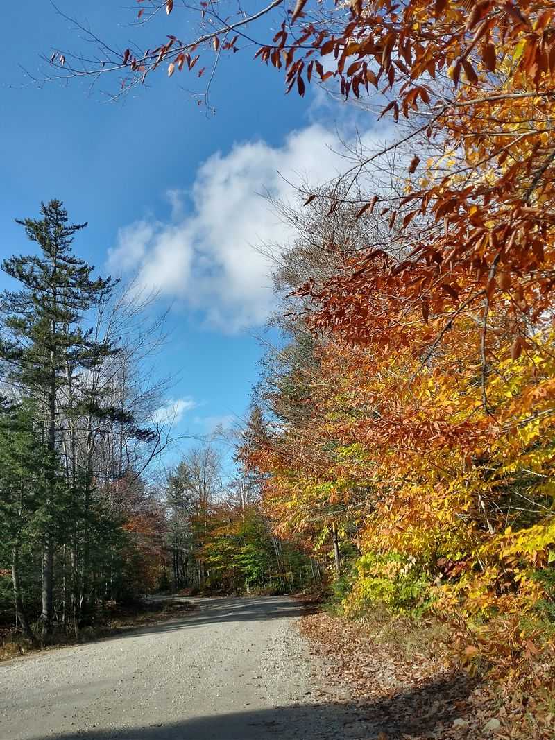 The Calm That Makes It Work