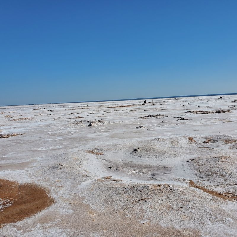 Digging for Selenite Crystals