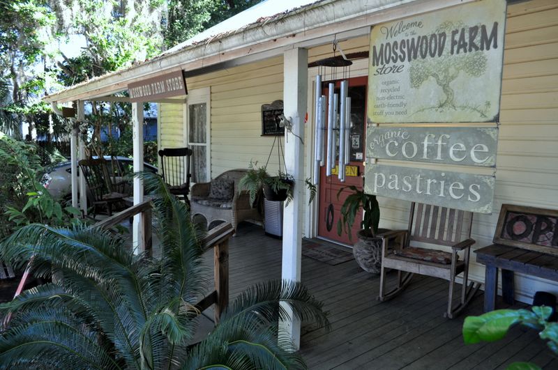 Brick Sidewalks And Moss-Covered Oaks
