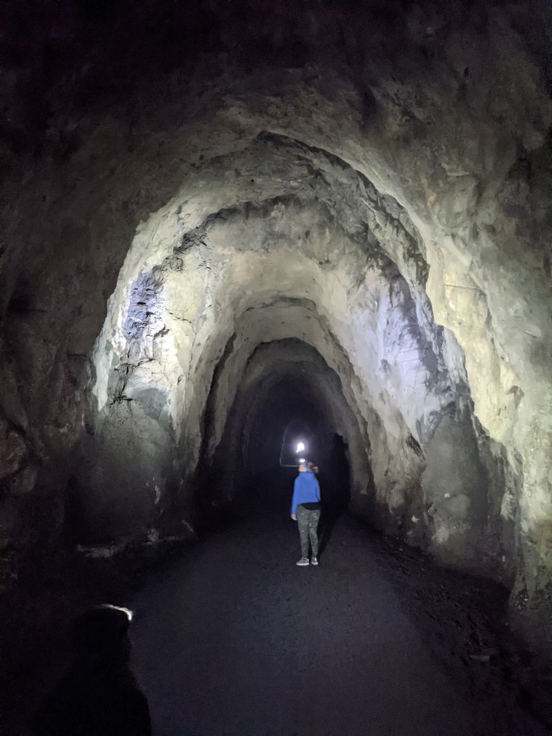 Bring Your Flashlight or Walk in Darkness