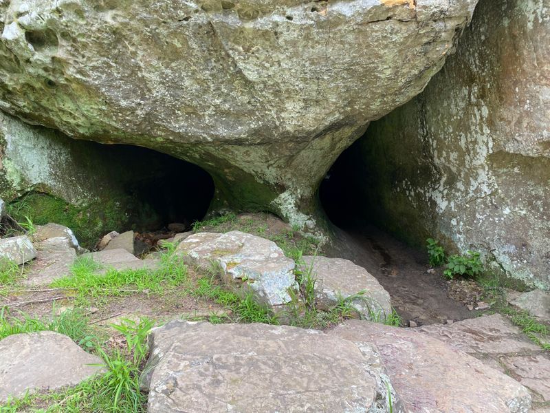 Bat Colonies That Call the Cave Home