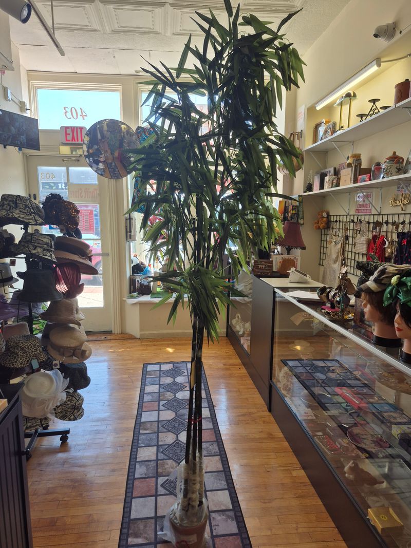 Warm And Friendly Staff Who Make You Feel Welcome