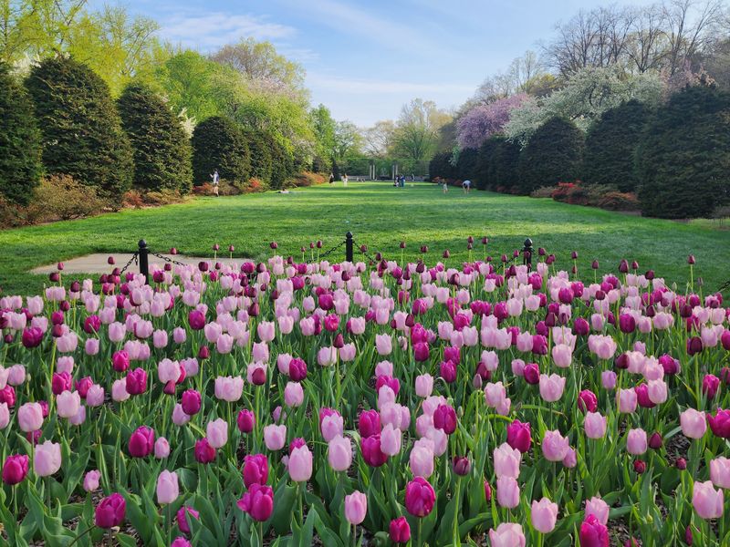 Strategic Timing Turns Good Visits Into Great Ones