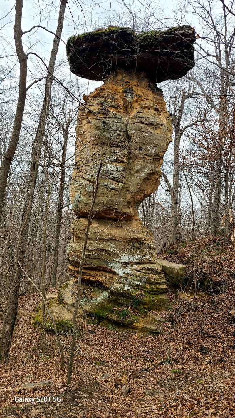 A Photographer's Dream Subject