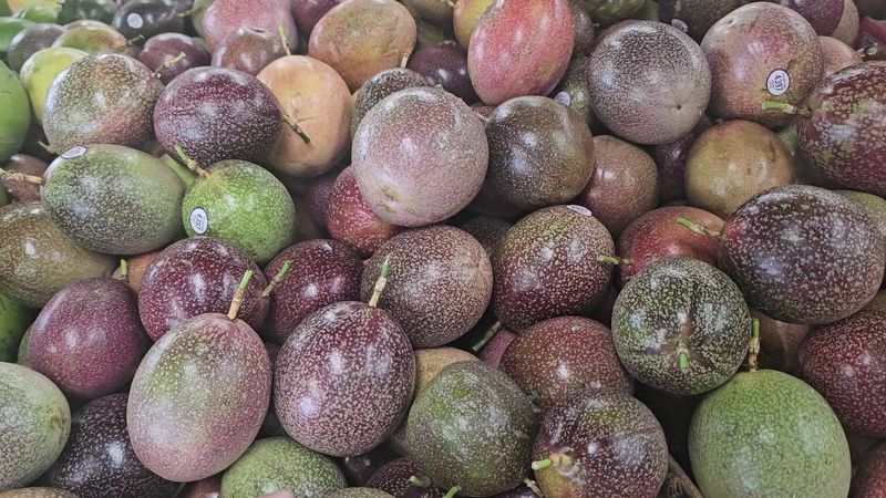 Picnic Areas And Space To Enjoy The Day