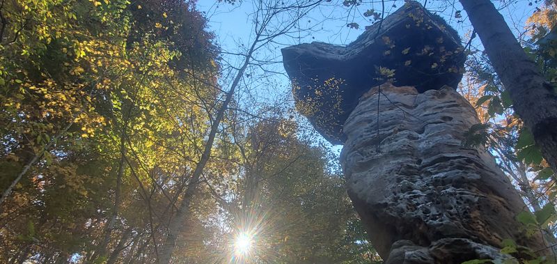 An Educational Experience About Deep Time