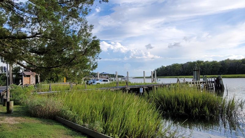 The Everyday Dock Walk