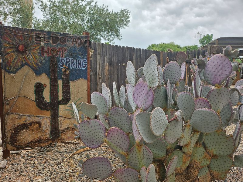 A Setting That Feels Cinematic And Unsettling