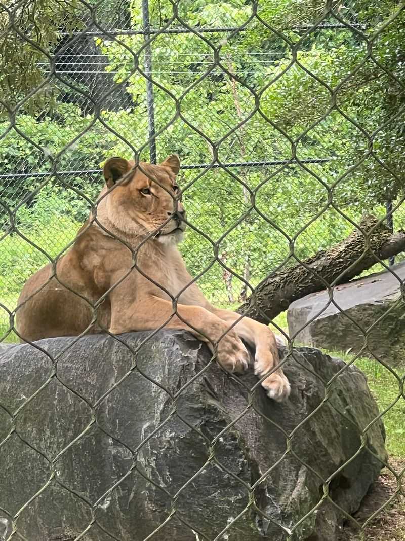 Perfect Location For Jersey Shore Vacationers