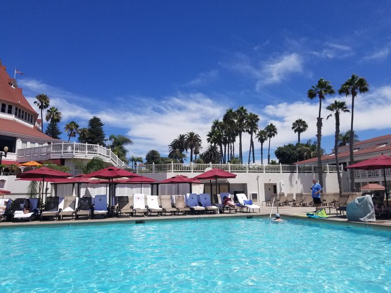 Guests Drawn By Beauty And Unease