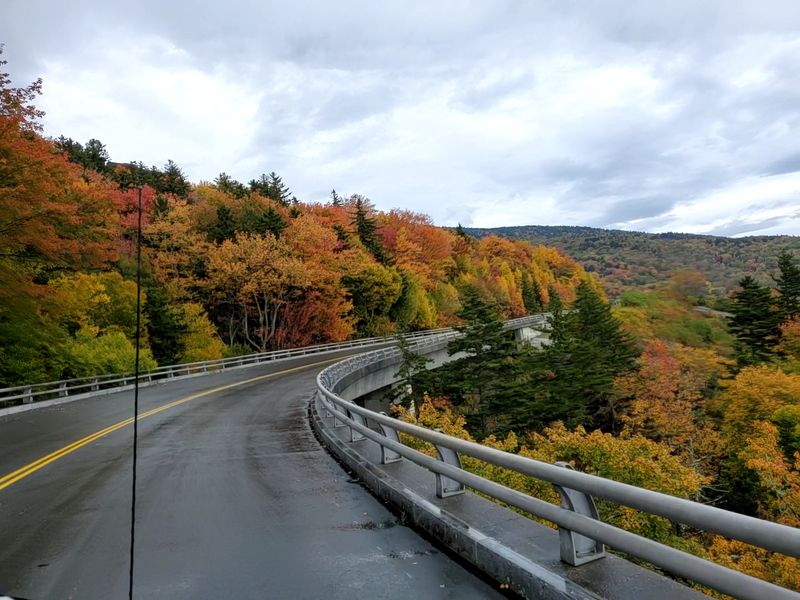 Why The Curves Feel Unreal