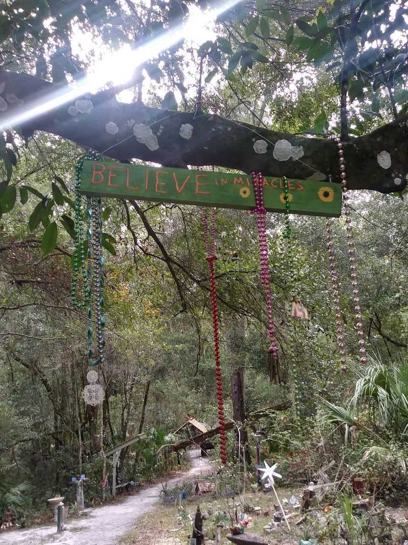 Nature That Doesn’t Feel Friendly