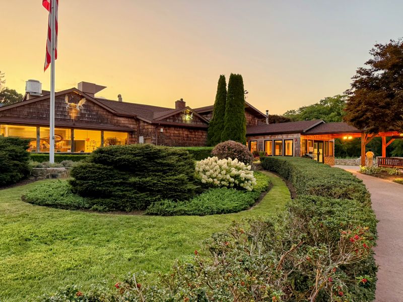 A Social, Lively Dining Atmosphere