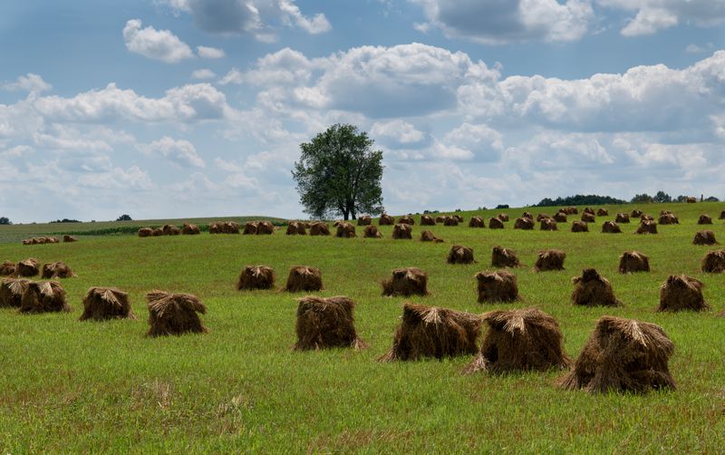 Beyond Berlin’s Main Strip