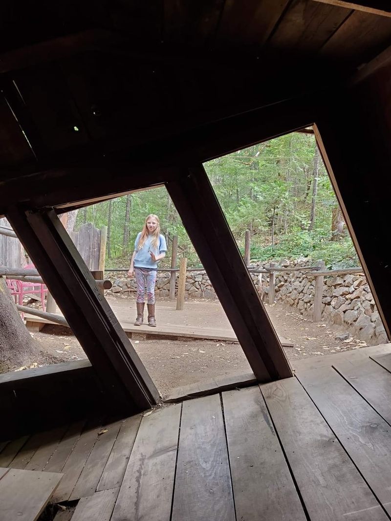 Balls and Water Roll Uphill on Level Surfaces Inside the House