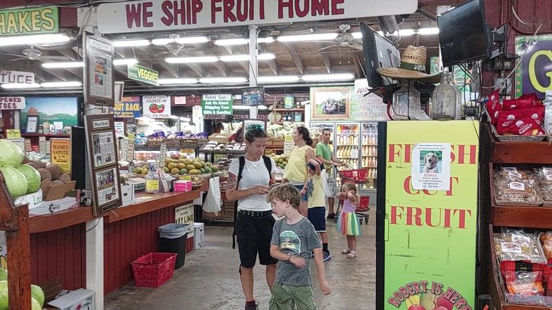 Why People Return Again And Again