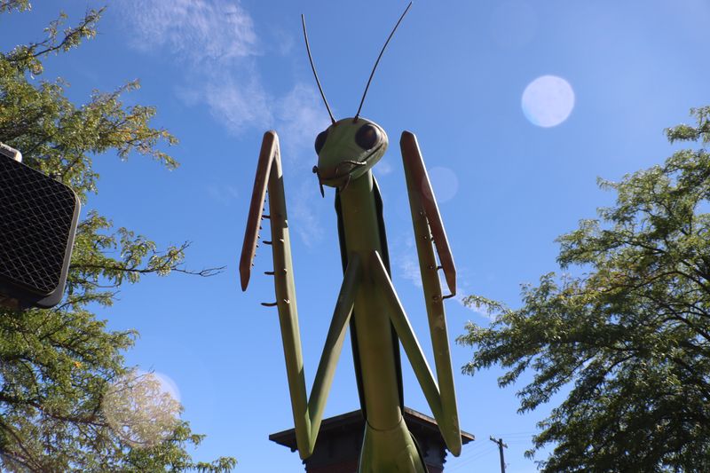 Crafted Entirely from Reclaimed and Recycled Materials