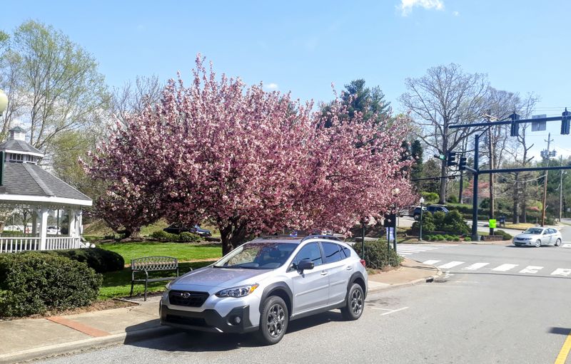 Where The Boring Reputation Came From